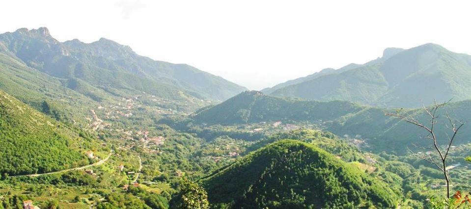 Casa Vacanza Daro Tramonti Eksteriør bilde